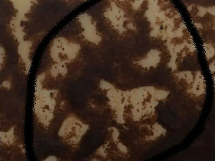 Запись на прием к гадалке в Старом